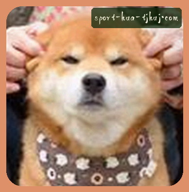 周生
